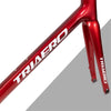 AERO Disc Road Frame A22 - Triaero